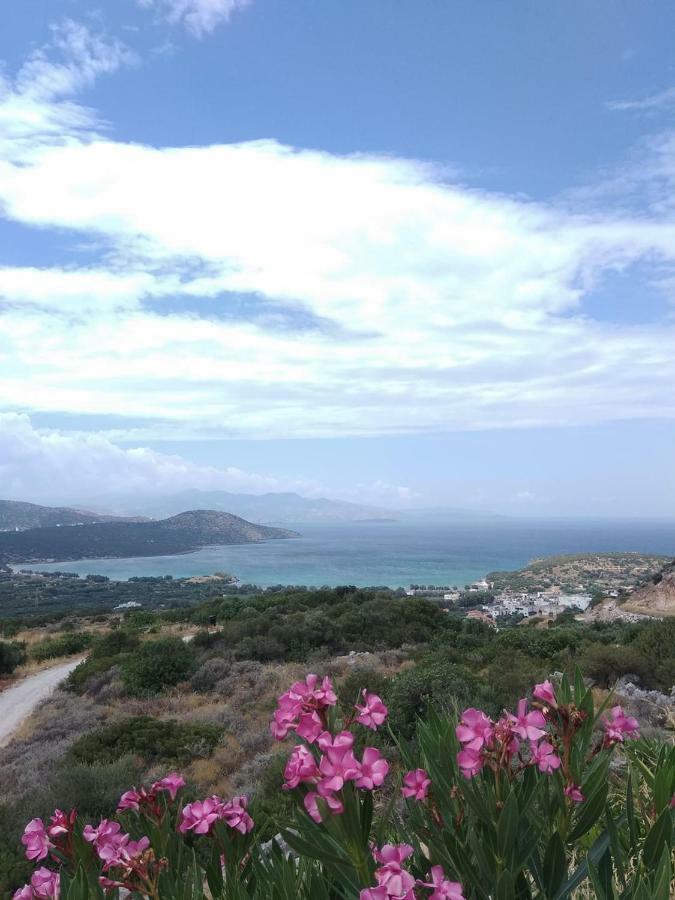 Marina Villa
